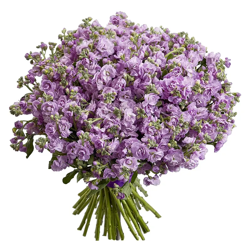 Букет
