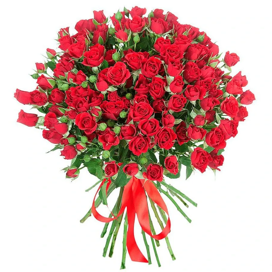 Розы кустовые красные